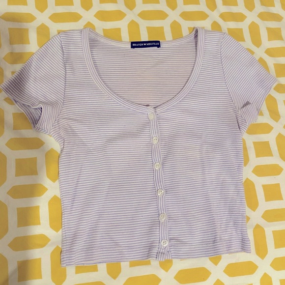 Brandy Melville Tops Brandy Crop Top Poshmark